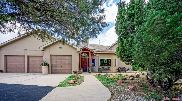 a view of a white house with a small yard plants and a large tree
