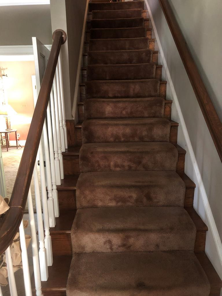 3334 Wheeler Road Augusta, GA 30909 - Photo 9 of 15