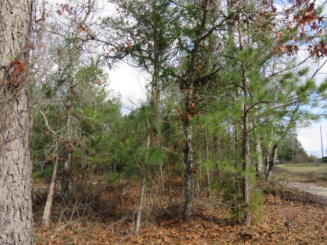 4637 Fulcher Road Hephzibah, GA 30815 - Photo 3 of 8 IMG_5439
