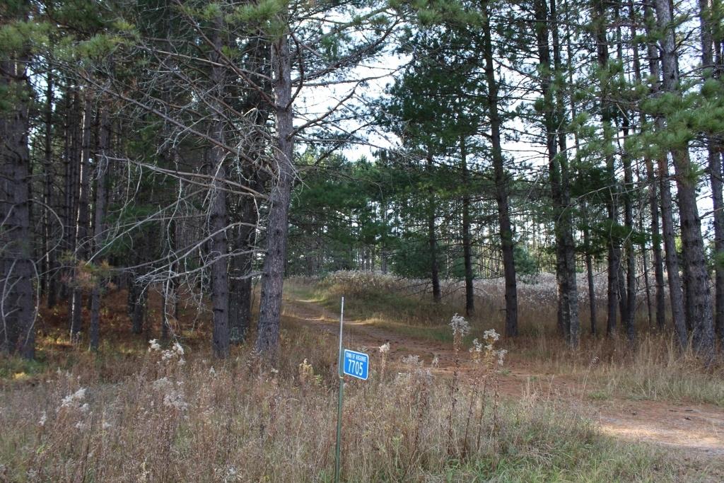 7705 Peshtigo River Road Argonne, WI 54511 - Photo 56 of 59 Gallery Image 56