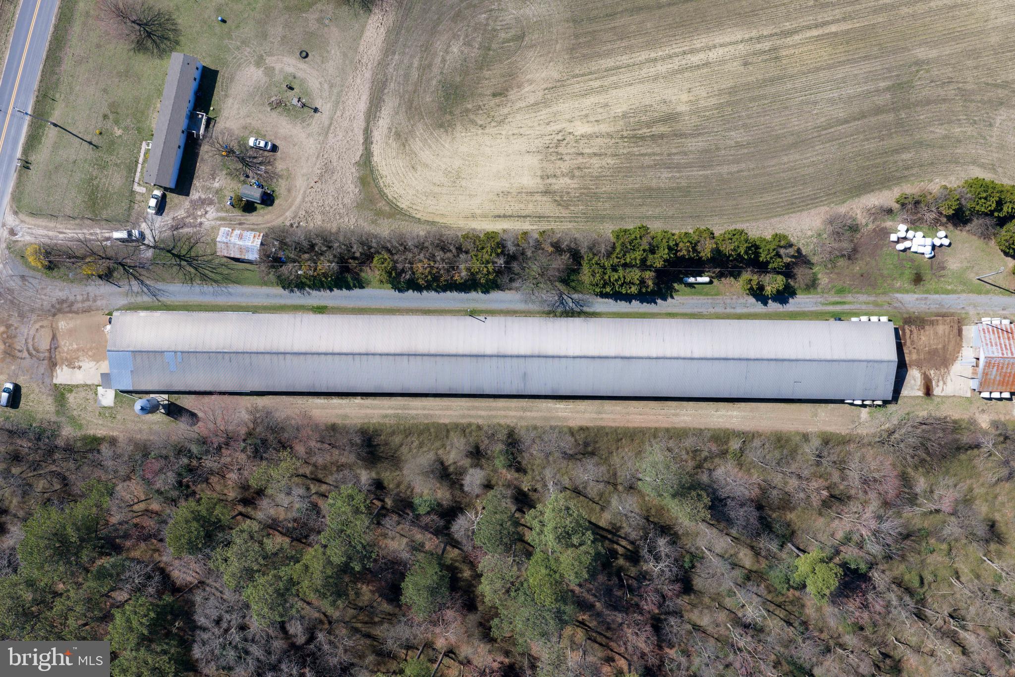 13651 Wilson Hill Road Georgetown, DE 19947 - Photo 18 of 23 a view of statue in a yard