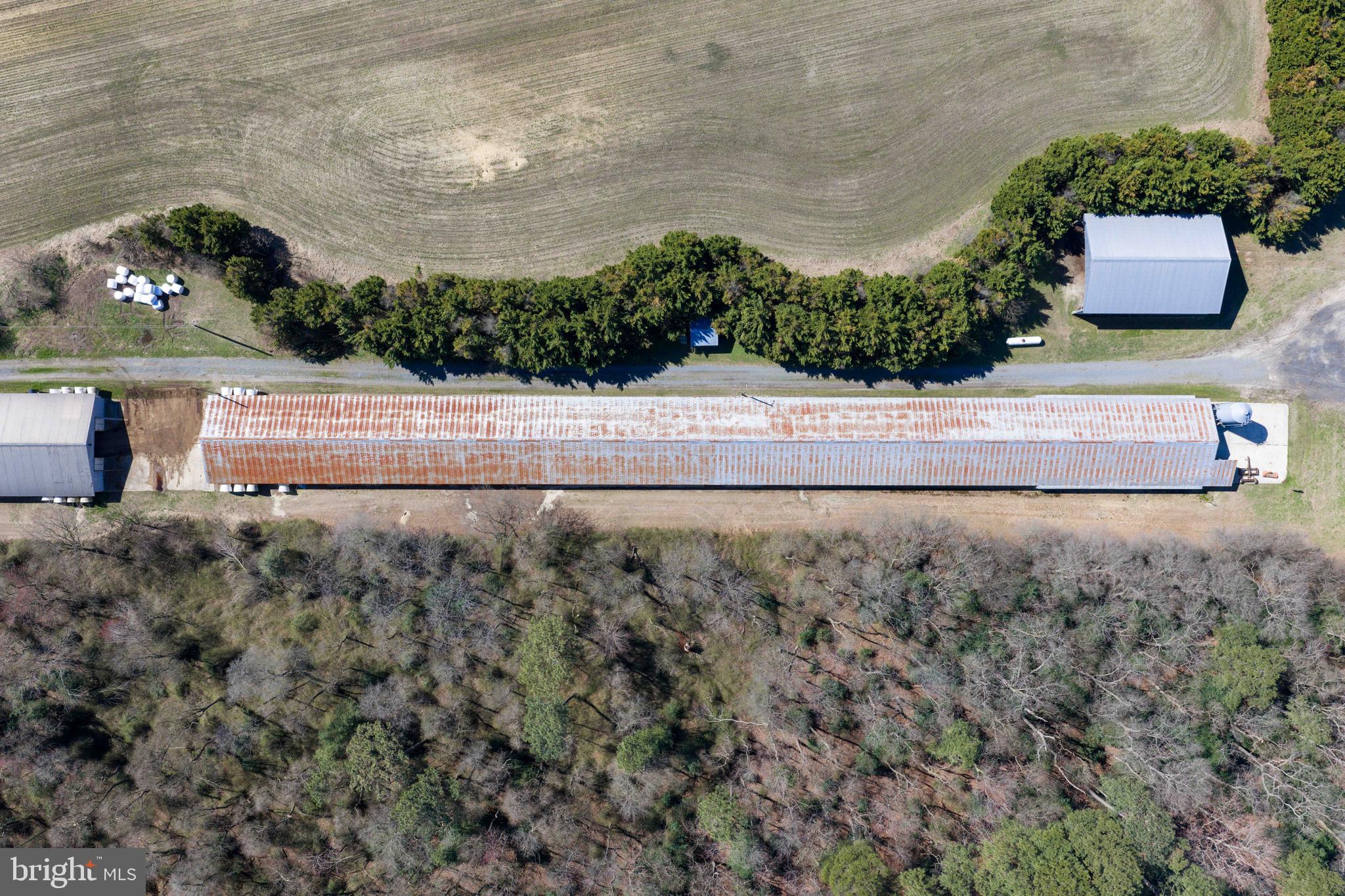 13651 Wilson Hill Road Georgetown, DE 19947 - Photo 19 of 23 a view of a yard