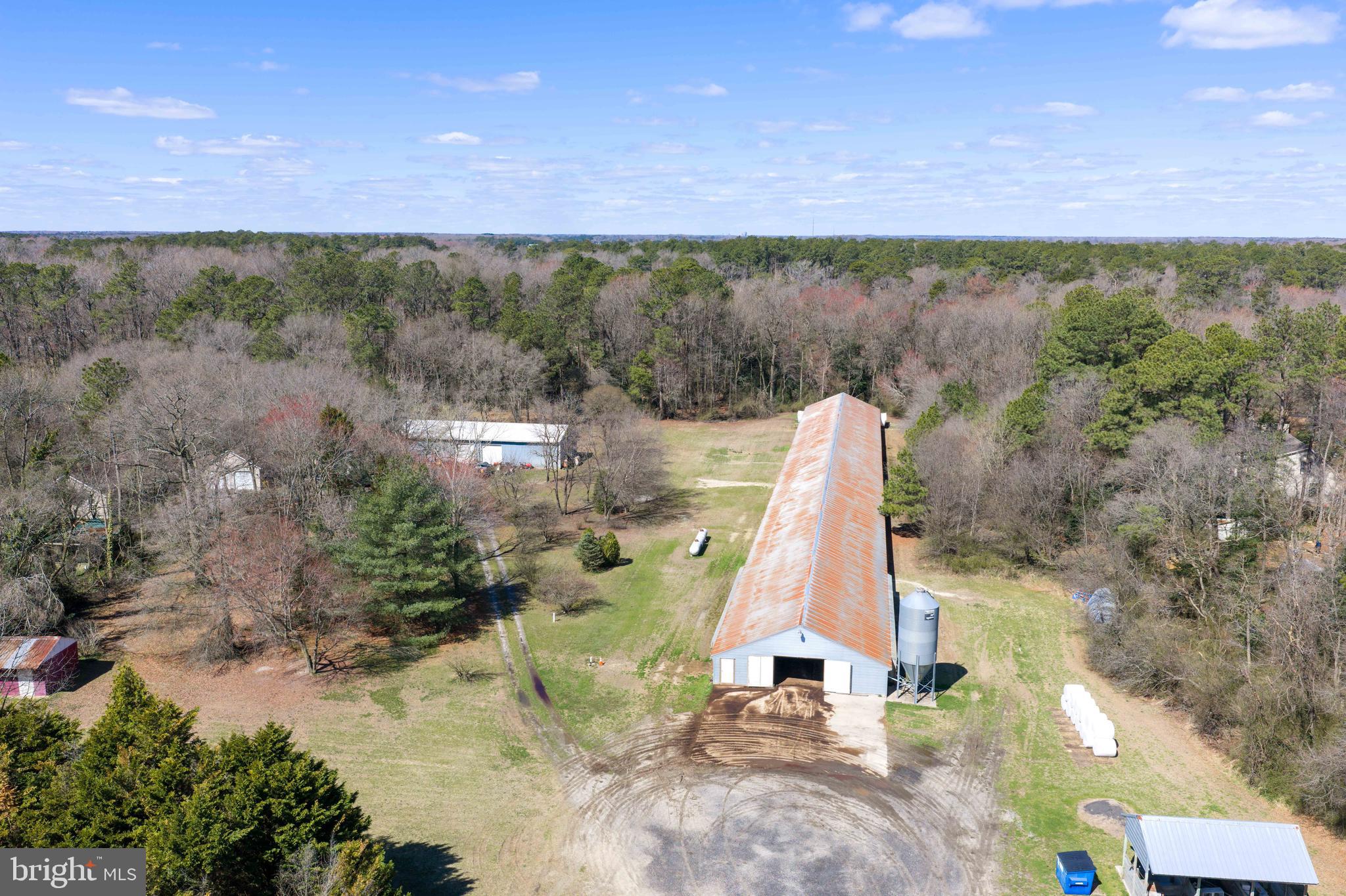 13651 Wilson Hill Road Georgetown, DE 19947 - Photo 22 of 23 a view of a field with a field