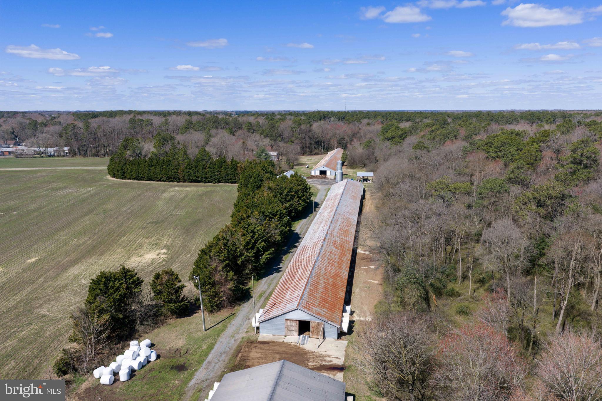 13651 Wilson Hill Road Georgetown, DE 19947 - Photo 23 of 23 an aerial view of a house with a yard and a lake view