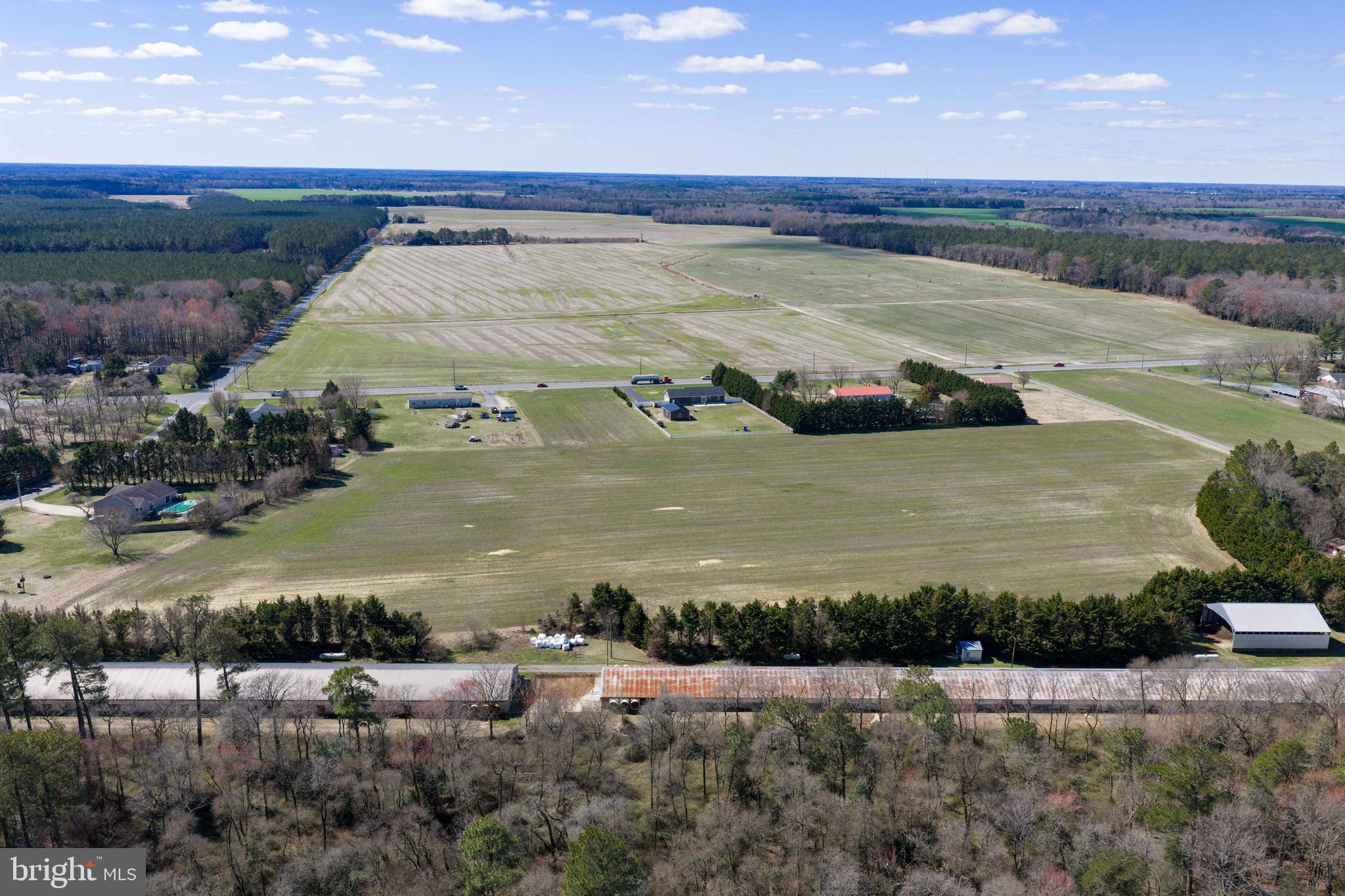 13651 Wilson Hill Road Georgetown, DE 19947 - Photo 6 of 23