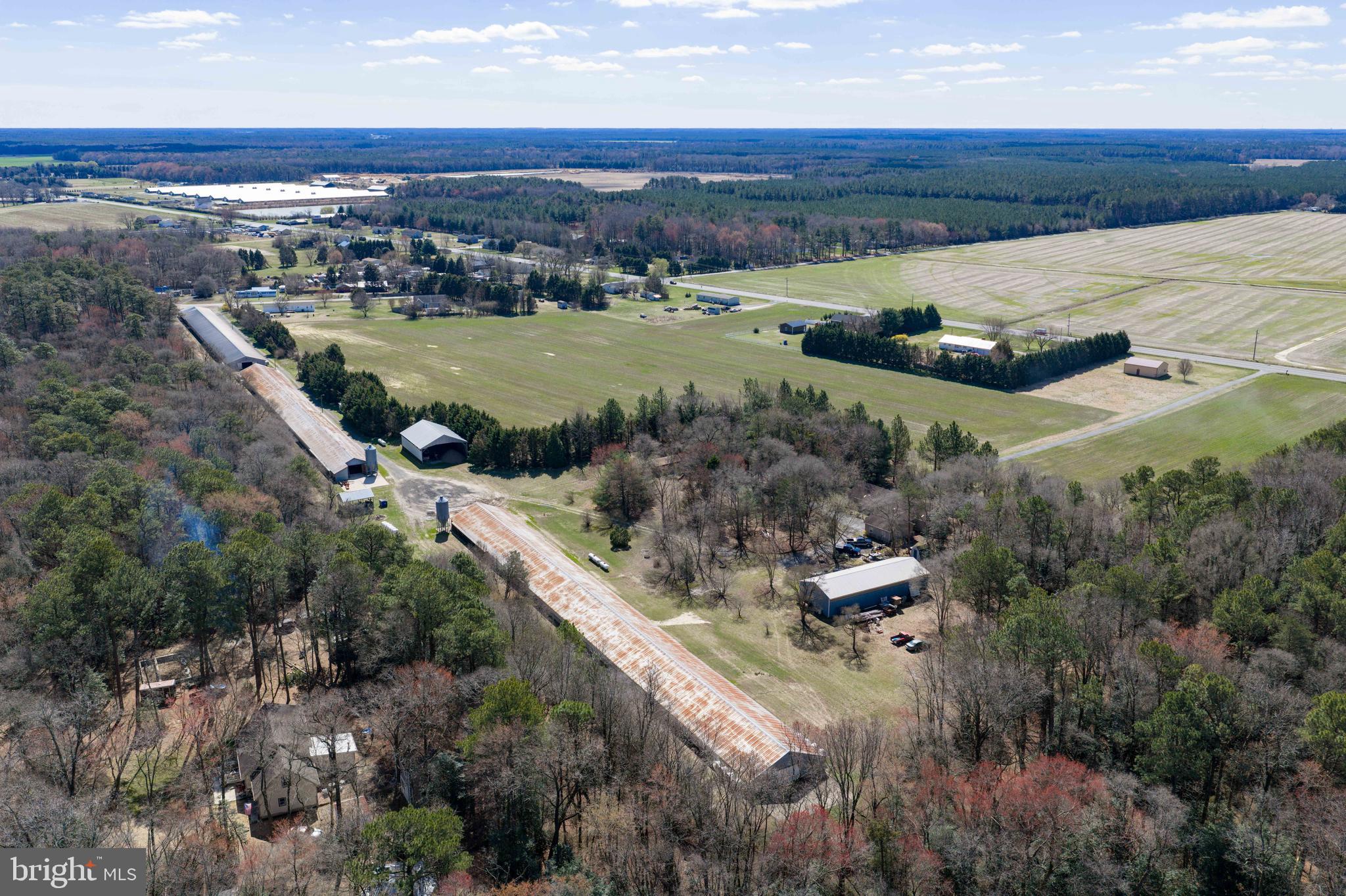 13651 Wilson Hill Road Georgetown, DE 19947 - Photo 7 of 23 a view of an outdoor space and yard