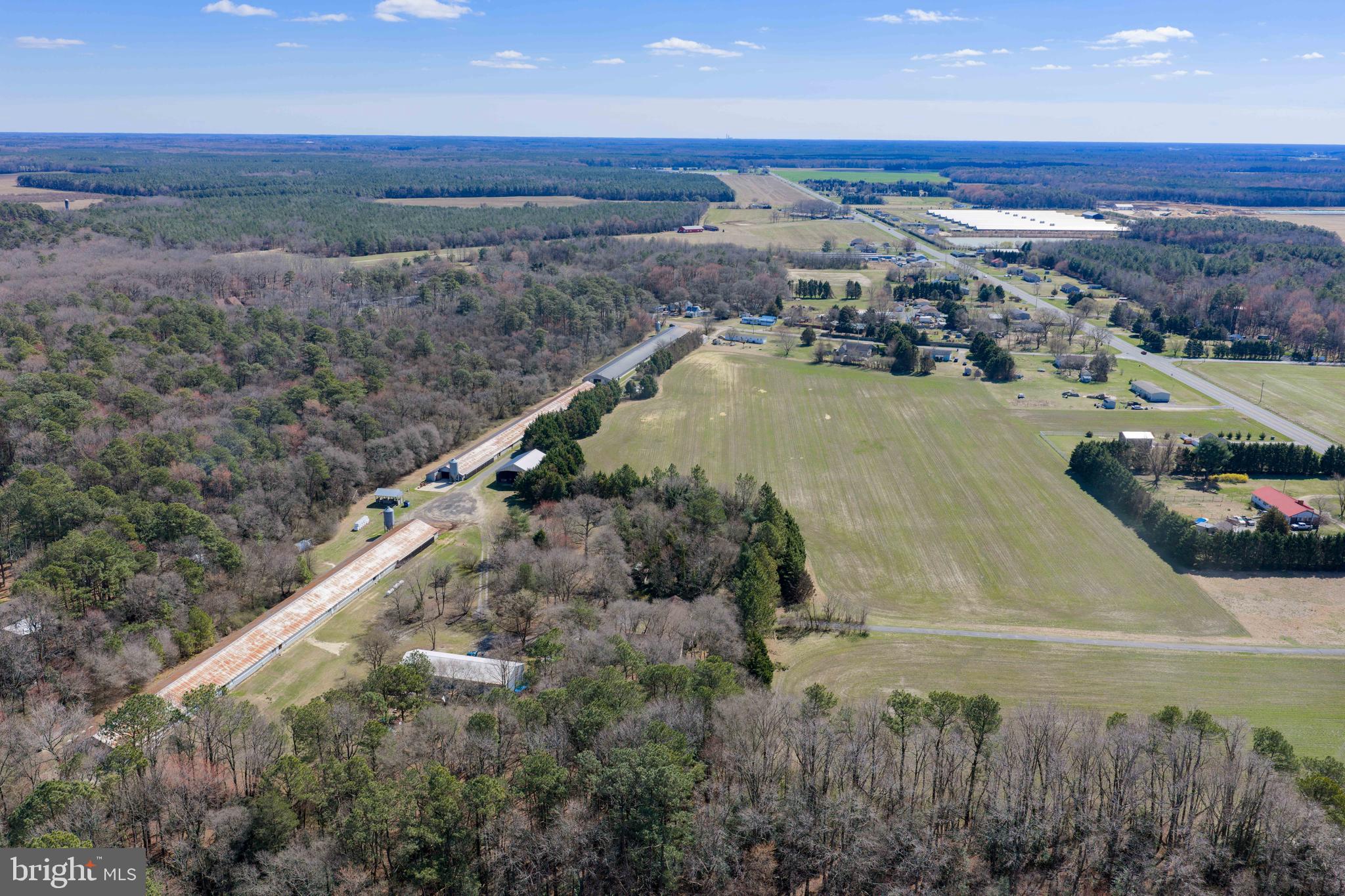 13651 Wilson Hill Road Georgetown, DE 19947 - Photo 9 of 23 a view of a city