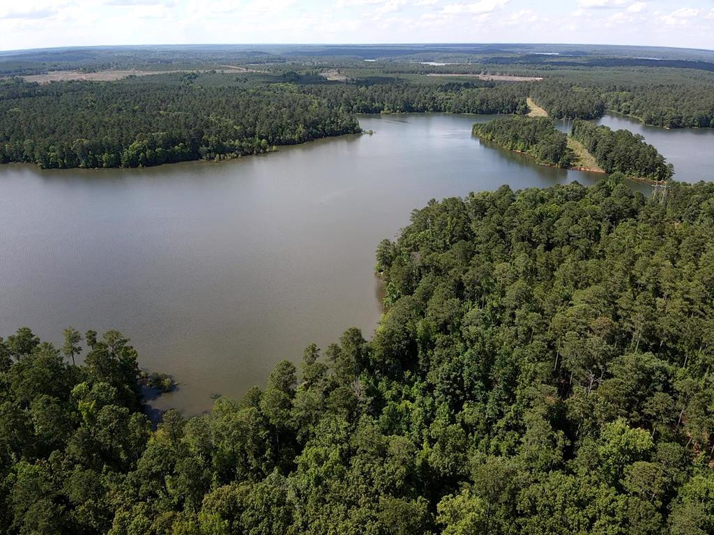 0 Gills Point Road Tignall, GA 30668 - Photo 1 of 3 Main View