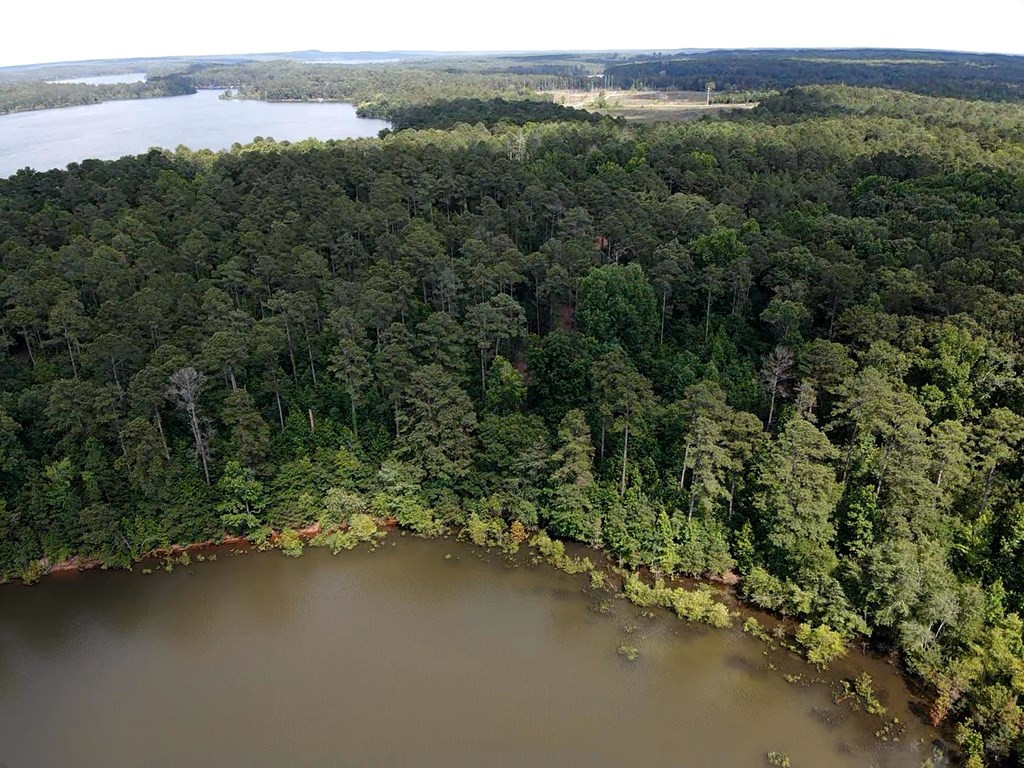 0 Gills Point Road Tignall, GA 30668 - Photo 2 of 3