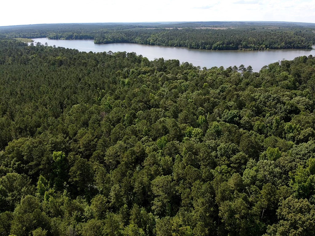 0 Gills Point Road Tignall, GA 30668 - Photo 3 of 3