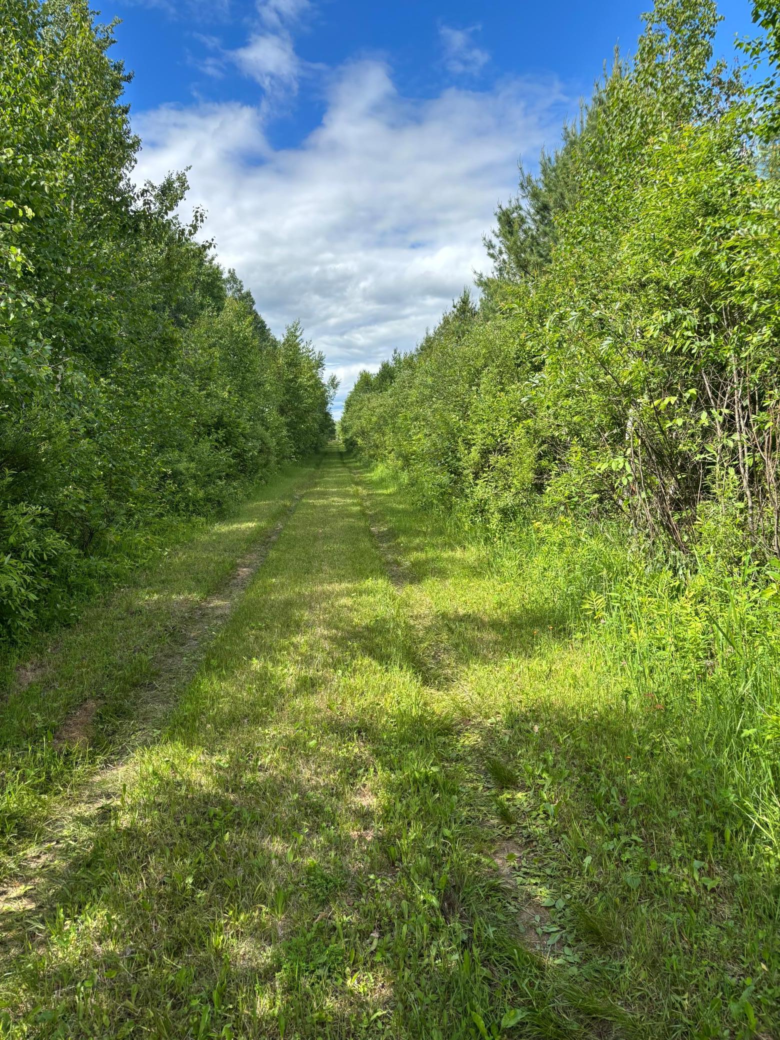 10750 Groningen Road Sandstone, MN 55072 - Photo 1 of 12