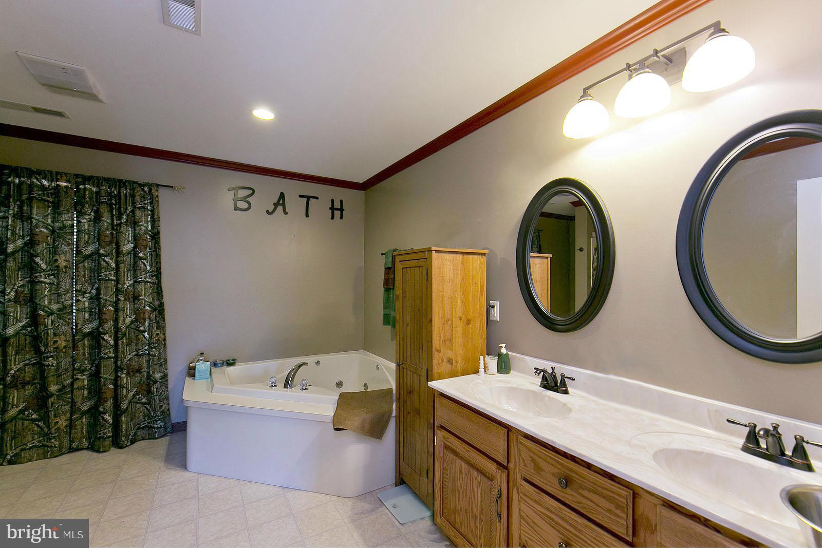2000 South Pifer Road Star Tannery, VA 22654 - Photo 9 of 12 a bathroom with a sink a mirror and a bathtub