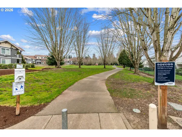 a view of a park with large trees