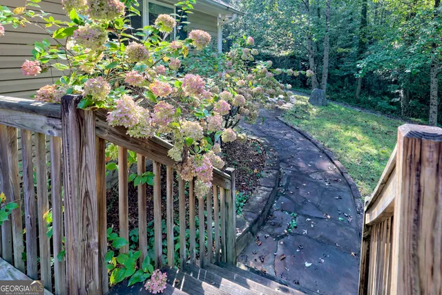 a view of a backyard with plants and a garden