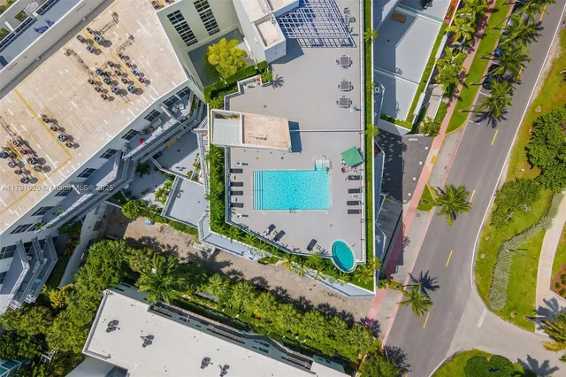 a view of a yard with plants