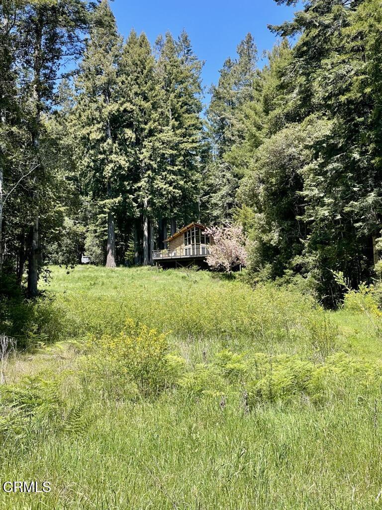 29701 Navarro Ridge Road Albion, CA 95410 - Photo 29 of 32 view from the bottom of the property
