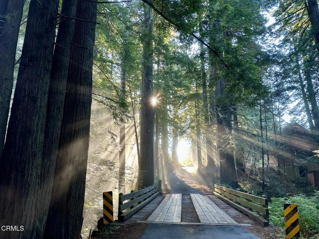29701 Navarro Ridge Road Albion, CA 95410 - Photo 32 of 32 wood bridge on Navarro Ridge Road