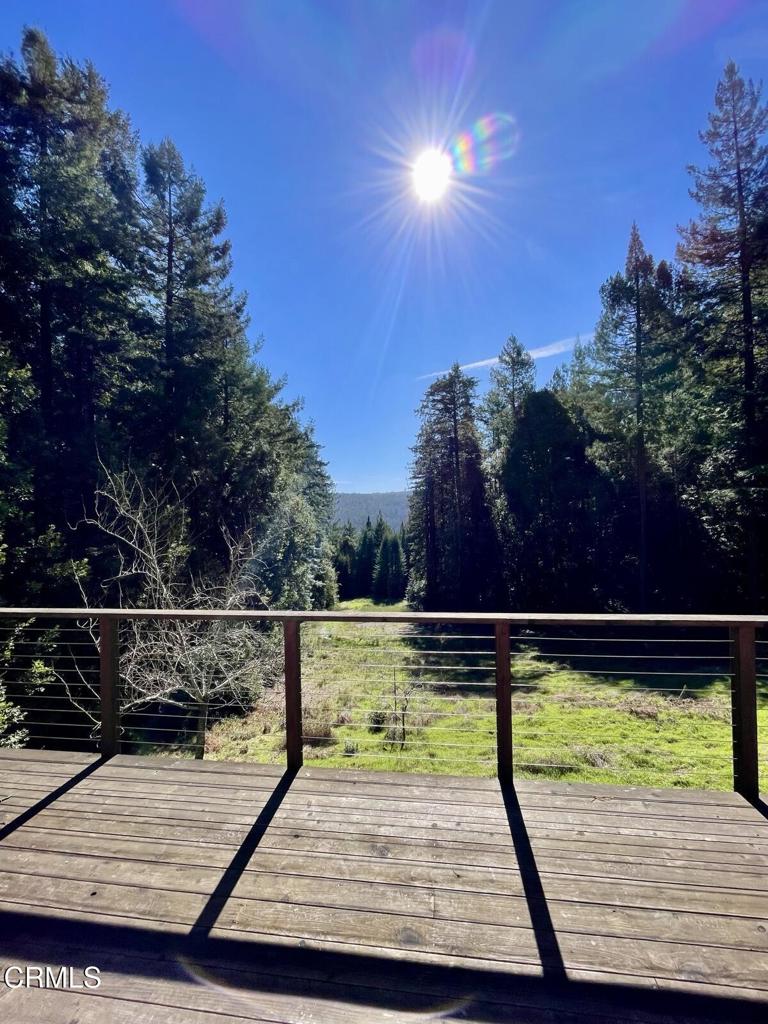 29701 Navarro Ridge Road Albion, CA 95410 - Photo 7 of 32 southern exposure