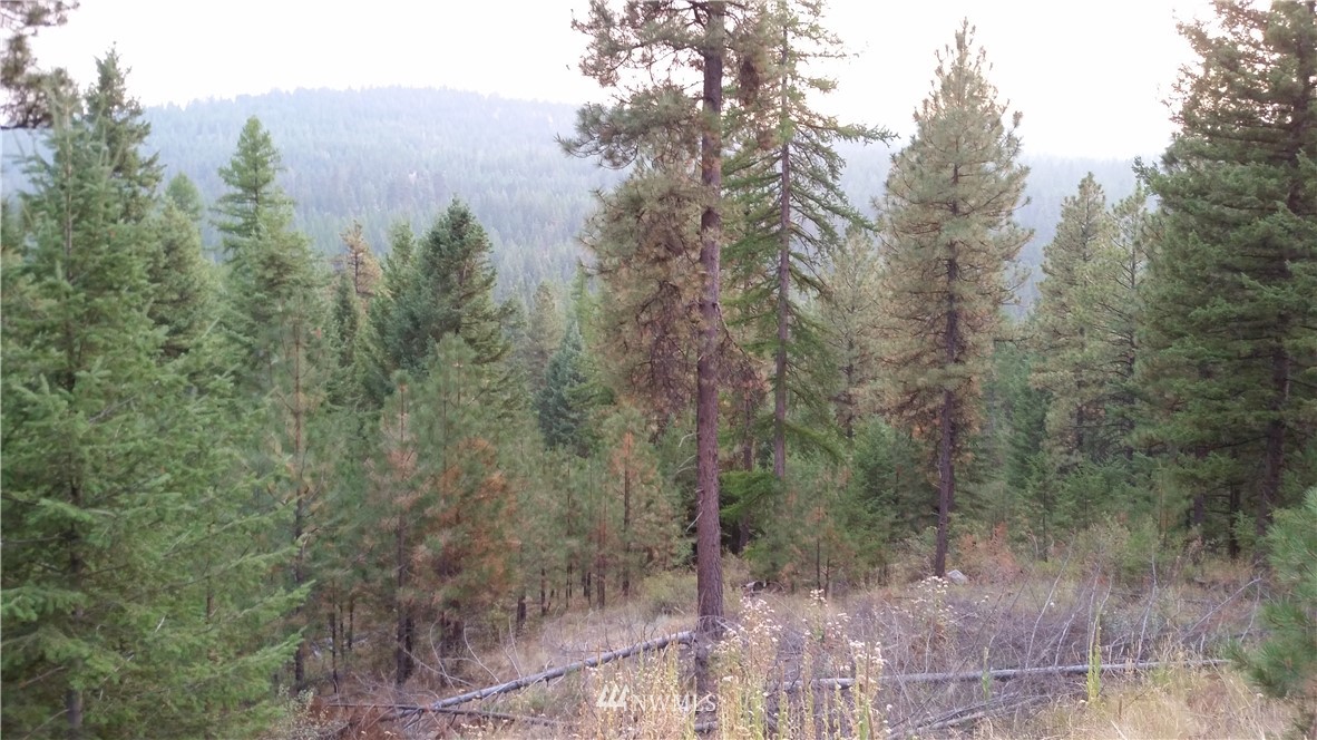489 Bench Creek Road Tonasket, WA 98855 - Photo 7 of 9 Gallery Image 7