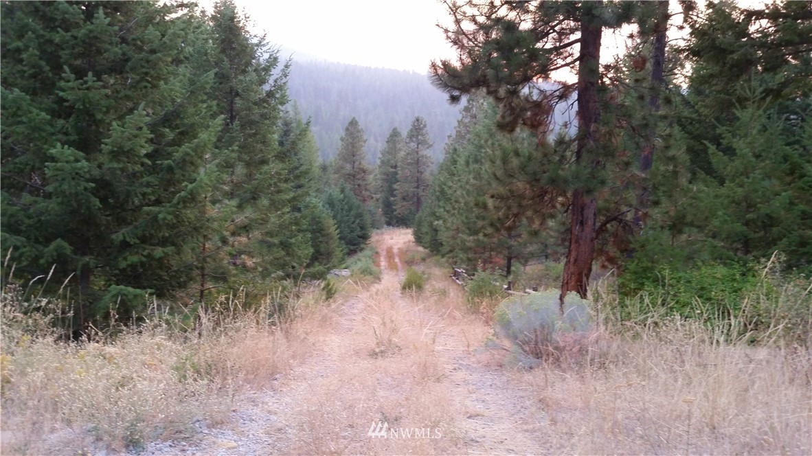 489 Bench Creek Road Tonasket, WA 98855 - Photo 8 of 9 Gallery Image 8