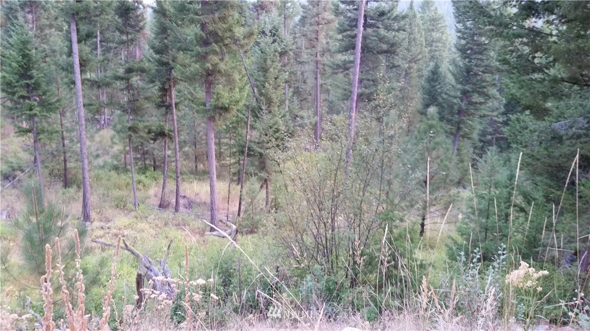 489 Bench Creek Road Tonasket, WA 98855 - Photo 9 of 9 Gallery Image 9