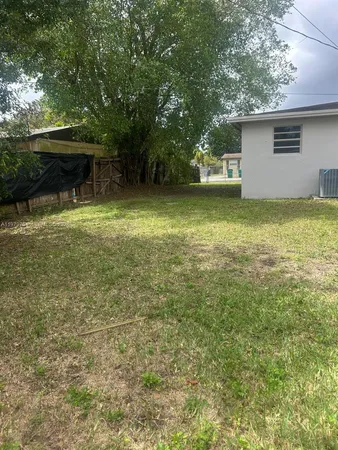 a view of a backyard with a large tree