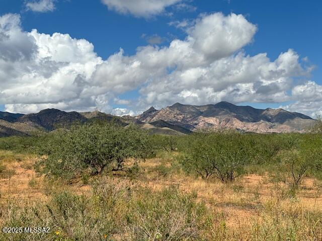 Tbd North Tbd N Central Road, Unit 9/10 Pearce, AZ 85625 - Photo 1 of 7