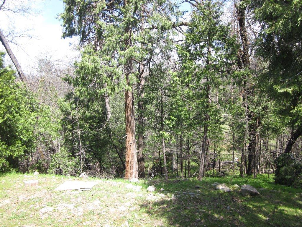 52121 Pettitt Road Oakhurst, CA 93644 - Photo 24 of 43 Gallery Image 24