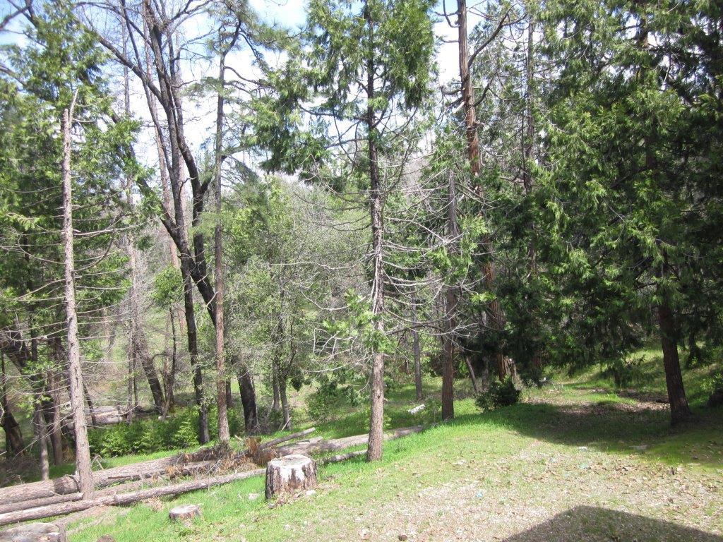 52121 Pettitt Road Oakhurst, CA 93644 - Photo 40 of 43 Gallery Image 40