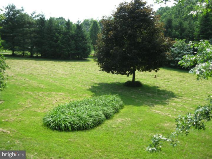 850 Ridge Road Pottstown, PA 19465 - Photo 12 of 13 Back Yard