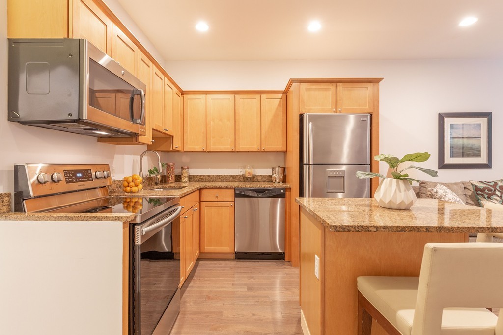 58 East Springfield Street, Unit 1 Boston, MA 02118 - Photo 1 of 11
