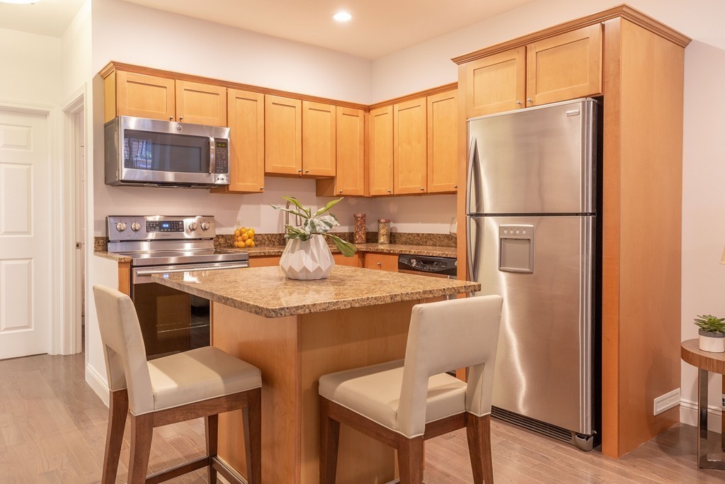 58 East Springfield Street, Unit 1 Boston, MA 02118 - Photo 2 of 11