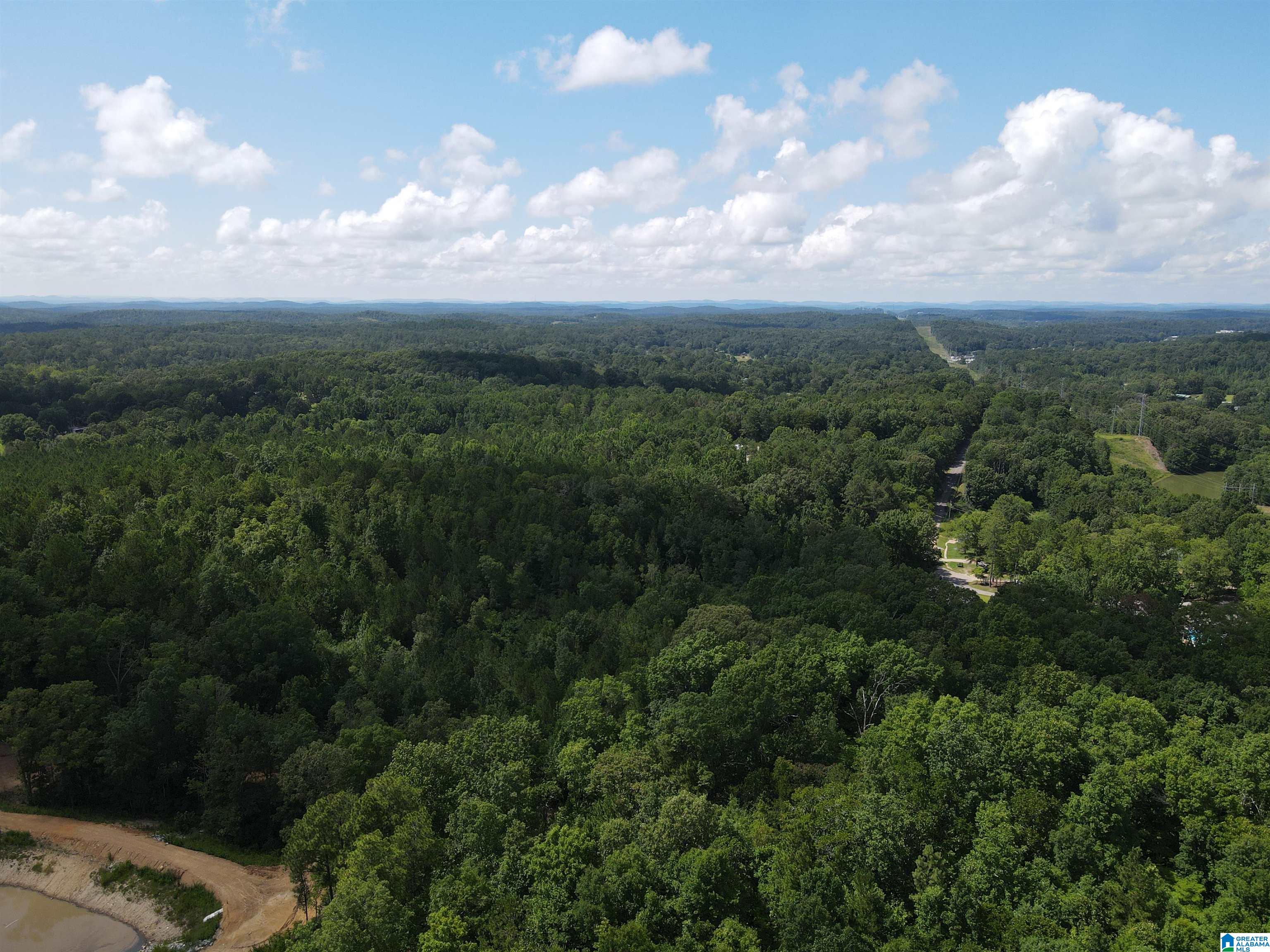 0 Reaves Road, Unit 67 5 AC Anniston, AL 36201 - Photo 10 of 15