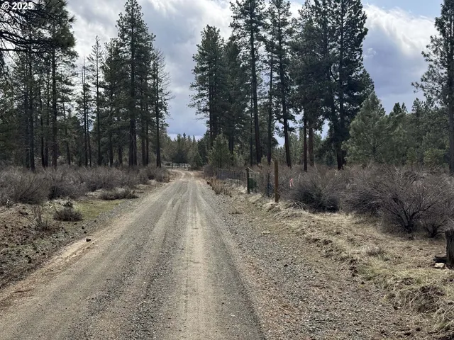 a view of a dry yard with trees