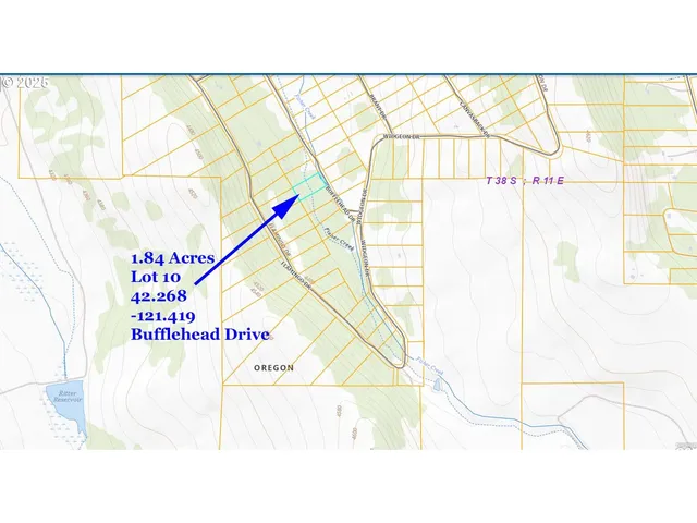 a picture of a black and white photo