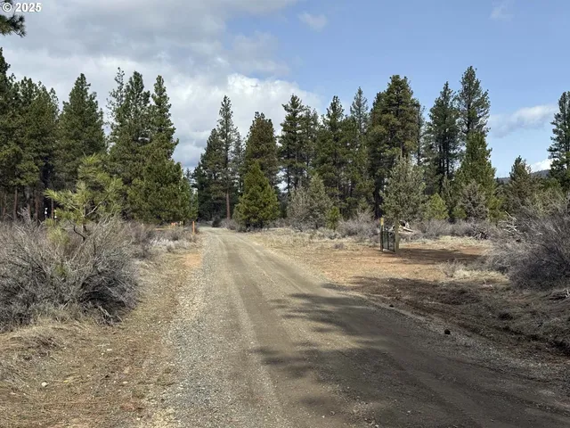 a view of a snow on the side of the road