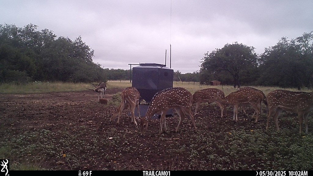 252 Elrincon Road Mountain Home, TX 78058 - Photo 27 of 29