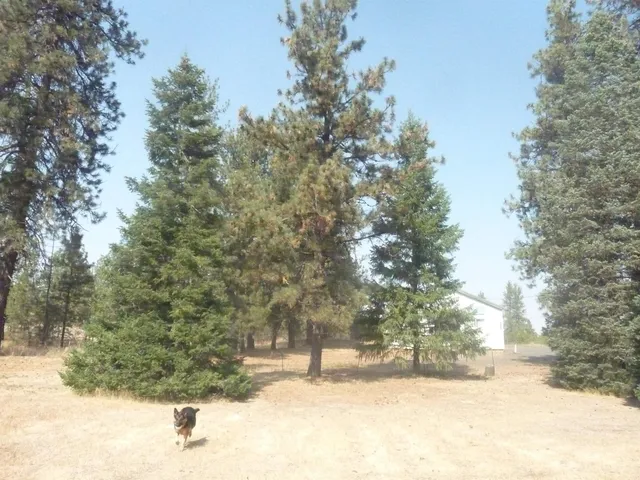 $324,500 | 23912 South B Street, Cheney, WA 99004