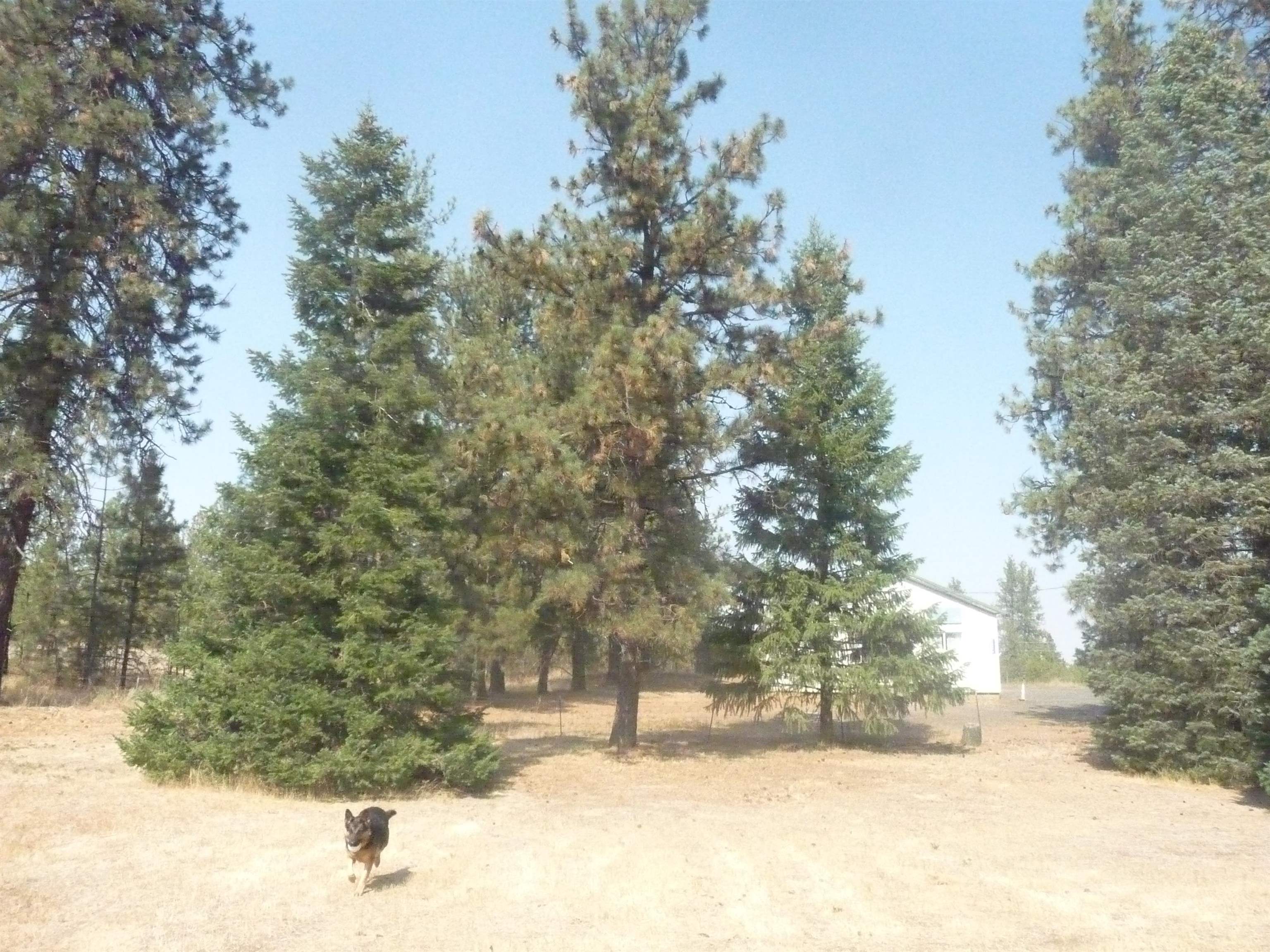 23912 South B Street Cheney, WA 99004 - Photo 36 of 38