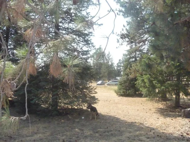 $324,500 | 23912 South B Street, Cheney, WA 99004