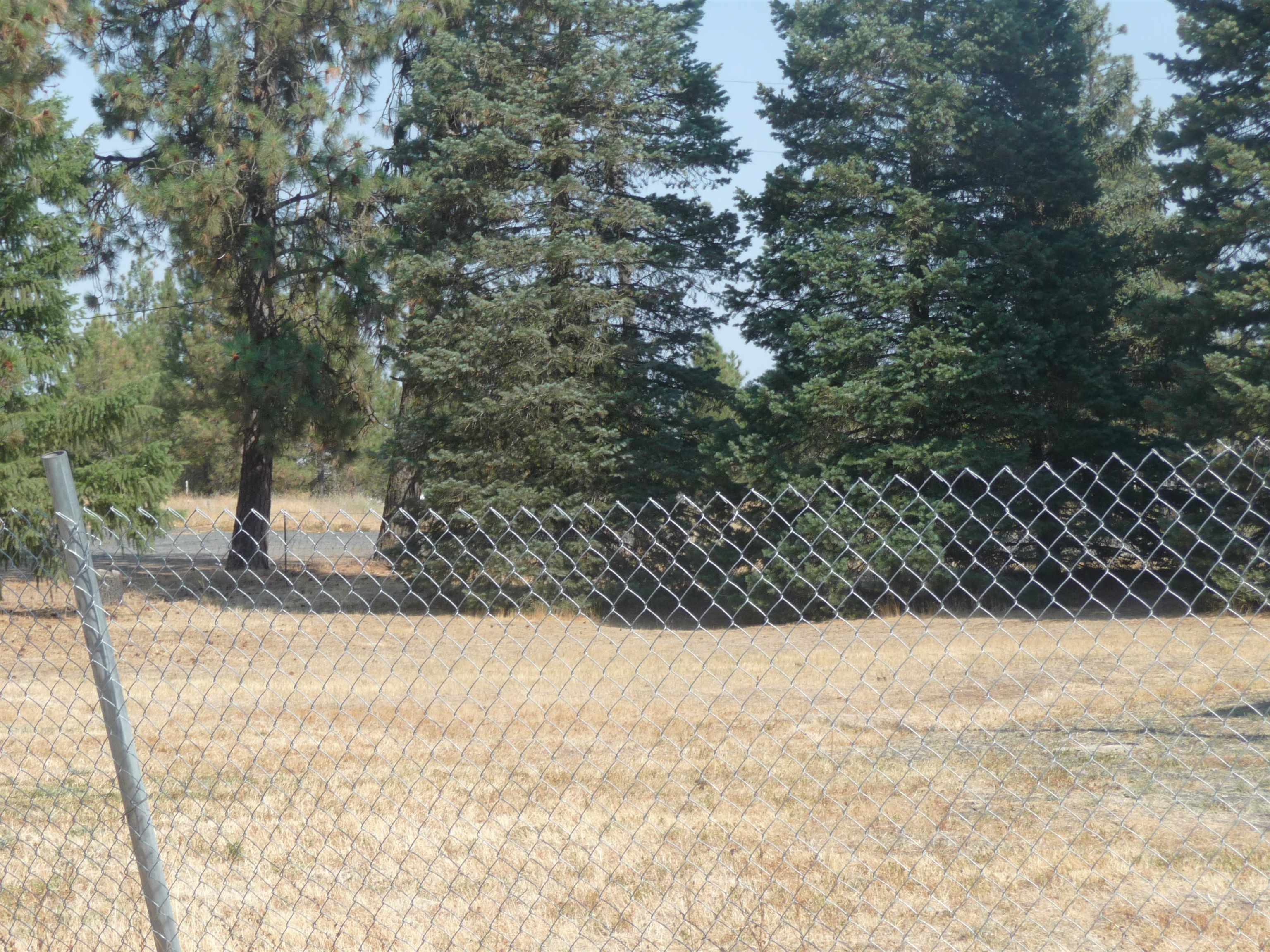 23912 South B Street Cheney, WA 99004 - Photo 7 of 38