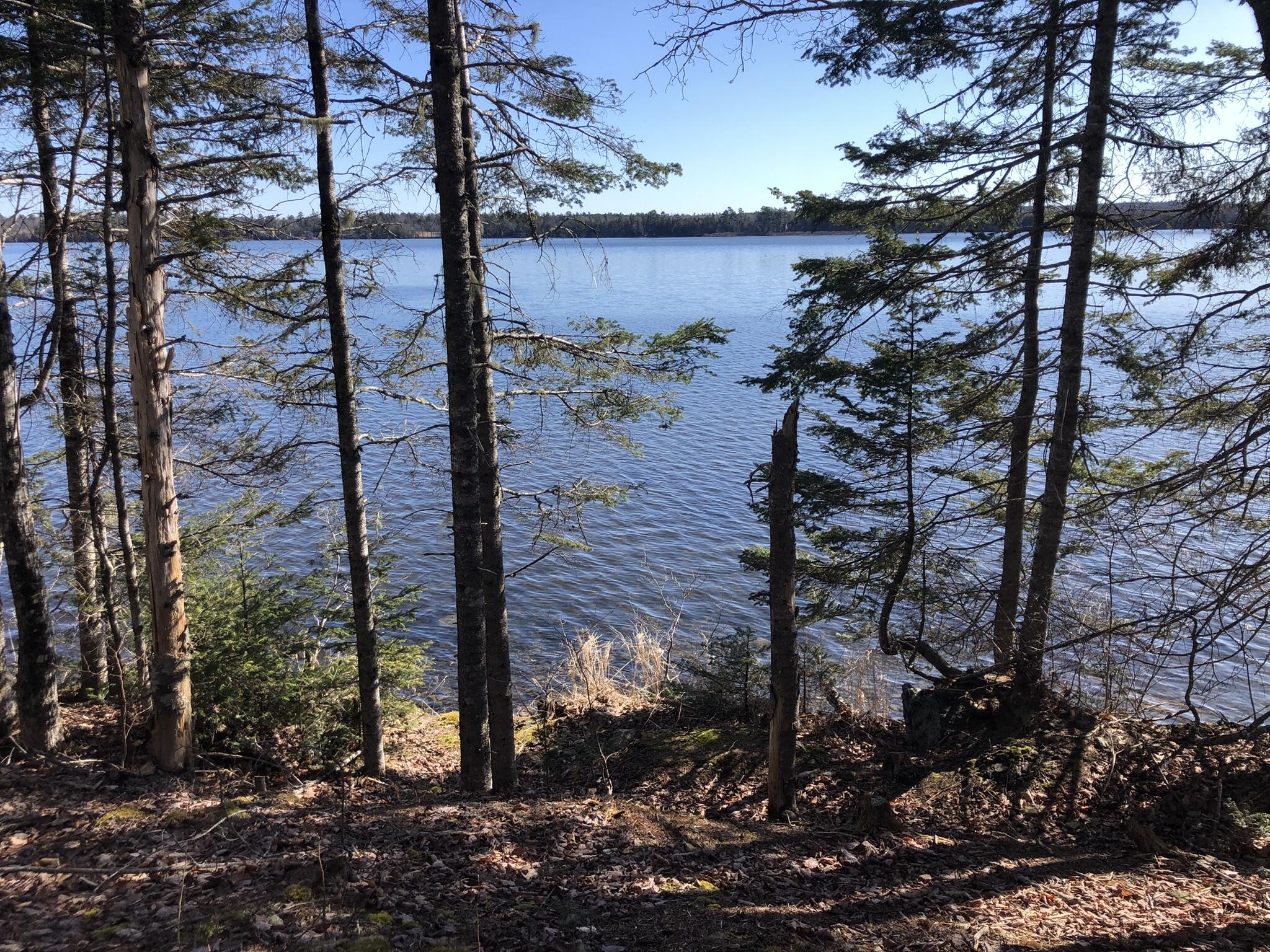 Tbd Roy's Way Perry, ME 04667 - Photo 9 of 20 1BC61F7F-8D8A-4CE8-A5CB-40A36815A3E0