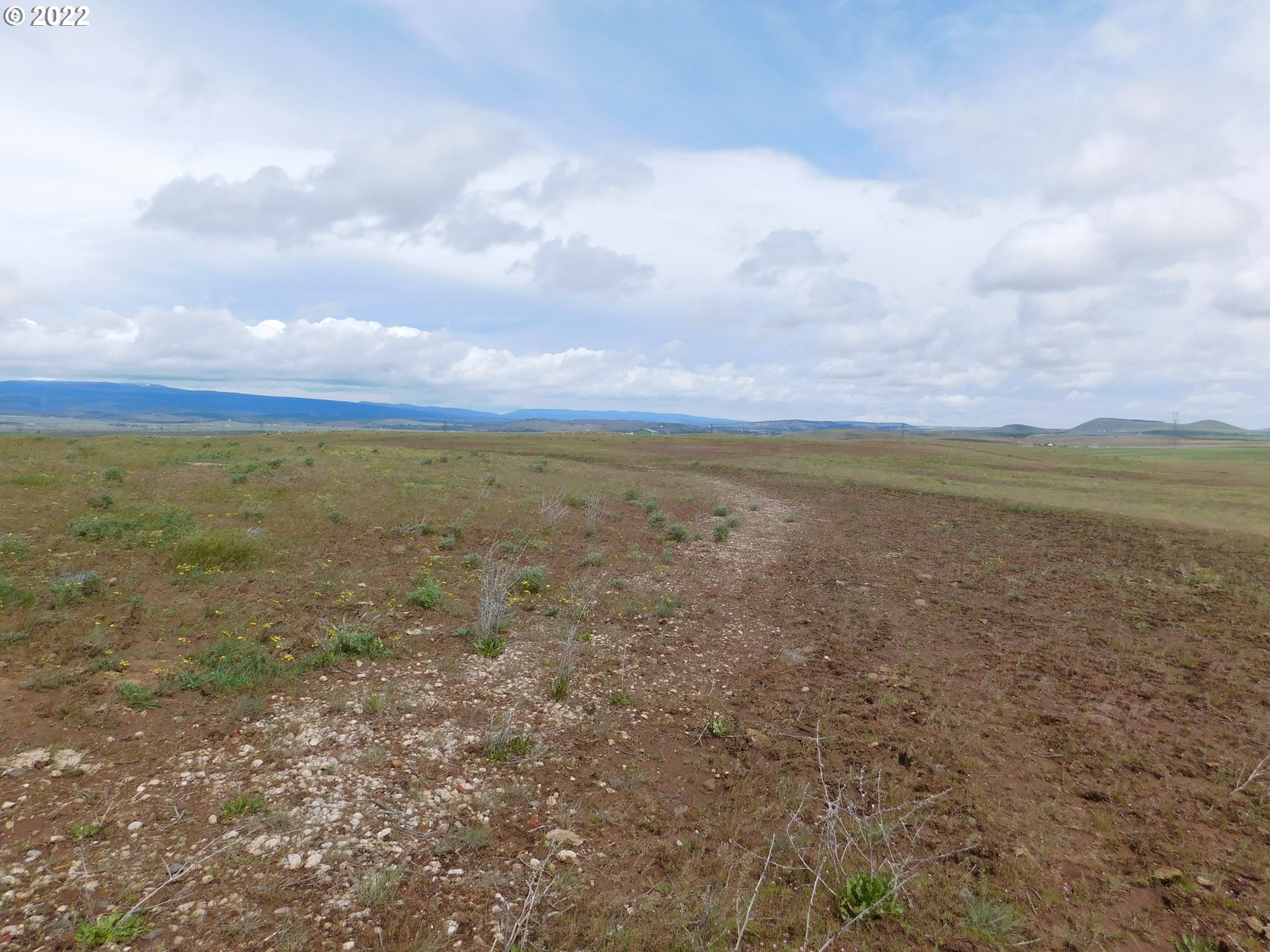 Simcoe Mountain Road Centerville, WA 98613 - Photo 11 of 18 a view of an ocean