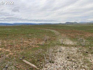 Simcoe Mountain Road Centerville, WA 98613 - Photo 2 of 18 a view of an ocean