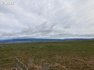 Simcoe Mountain Road Centerville, WA 98613 - Photo 3 of 18 a view of an ocean