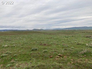 Simcoe Mountain Road Centerville, WA 98613 - Photo 5 of 18 a view of an ocean