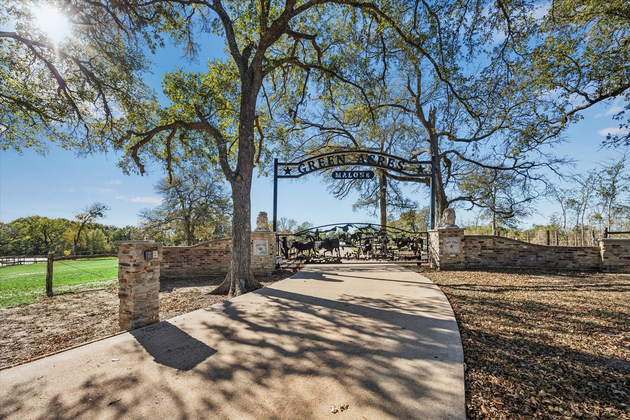 16372 Highway 6 Navasota, TX 77868 - Photo 3 of 49 a view of a yard with a tree