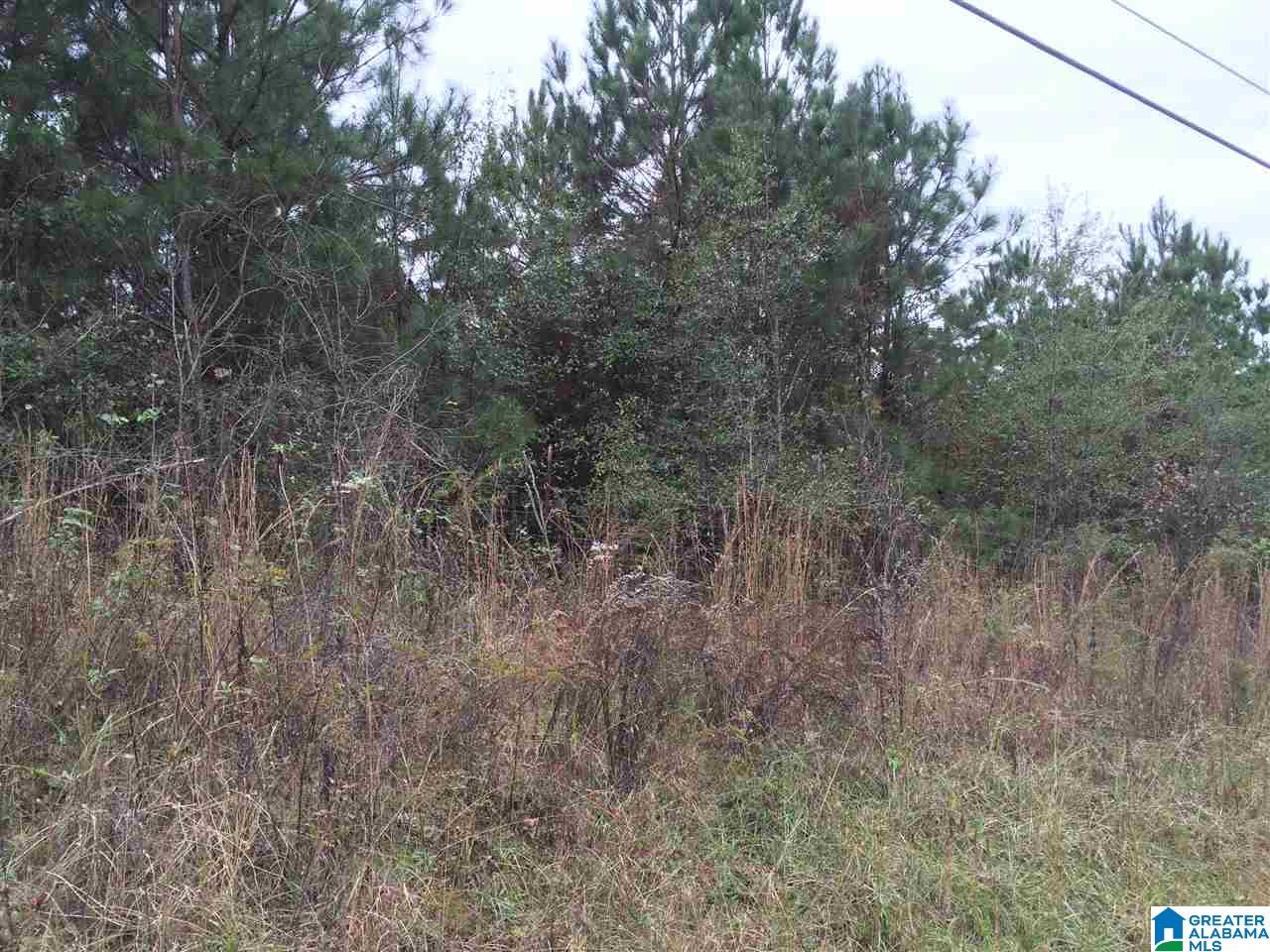 Page Spring Road, Unit 4 Arab, AL 35016 - Photo 11 of 29