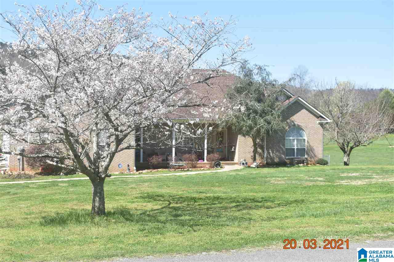 1190 Pearl Lake Road Springville, AL 35146 - Photo 1 of 38