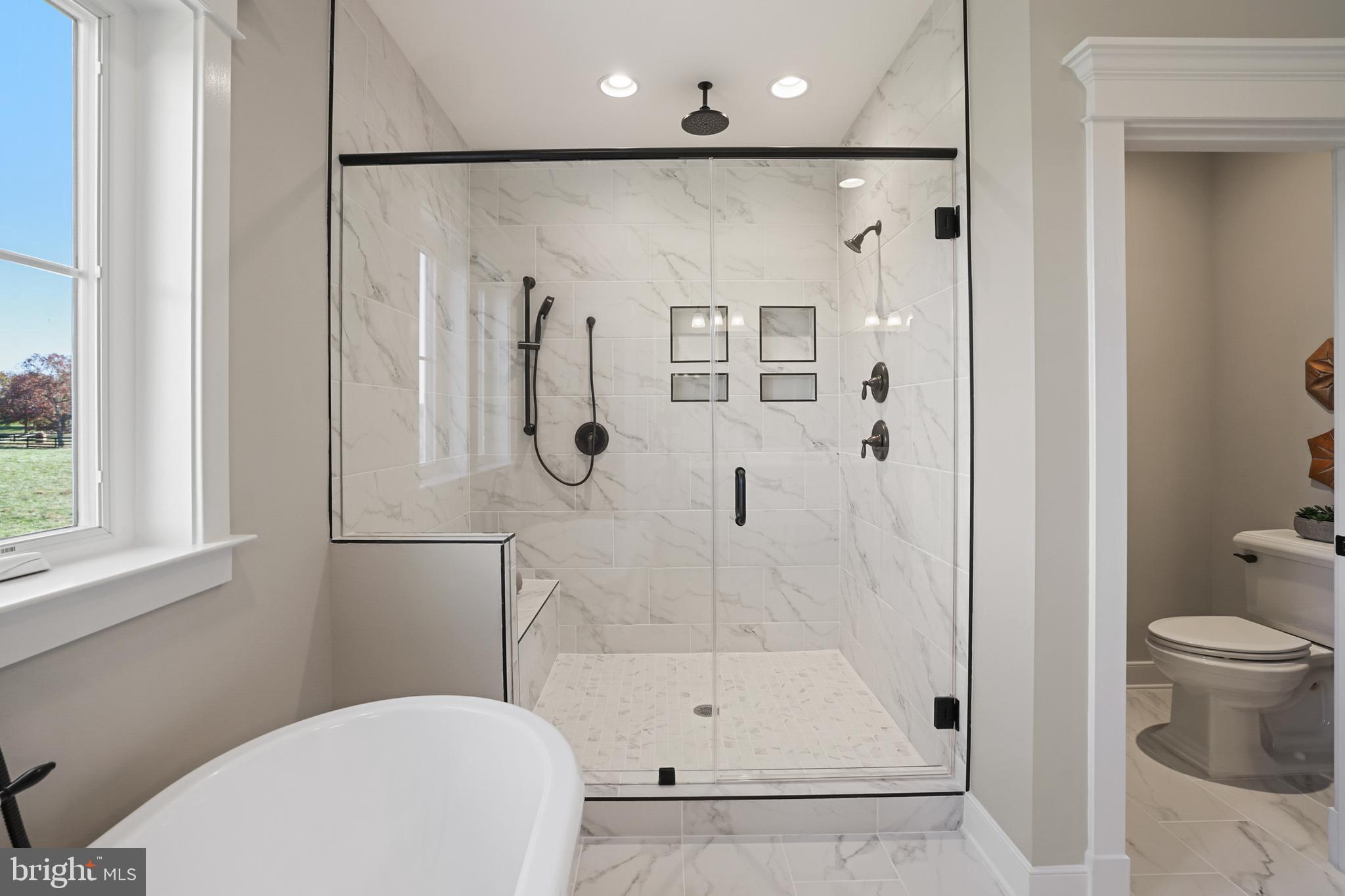 17628 Bates Drive Hamilton, VA 20158 - Photo 46 of 57 a bathroom with a shower a toilet and a shower